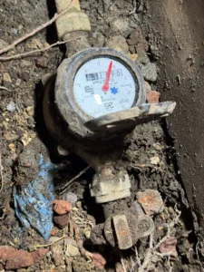 Proven Methods to Remove Mould from Ceilings