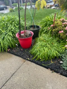 Essential Plumbing Tools From Bunnings