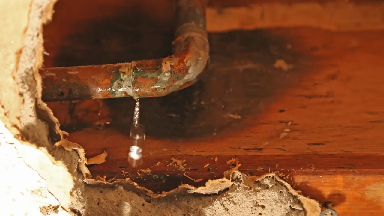 Slab Leak Repair Hayward