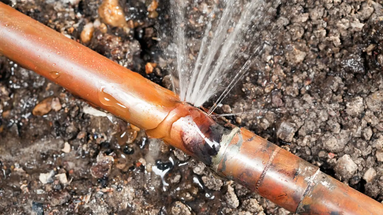 Water Leak Detection Hayward