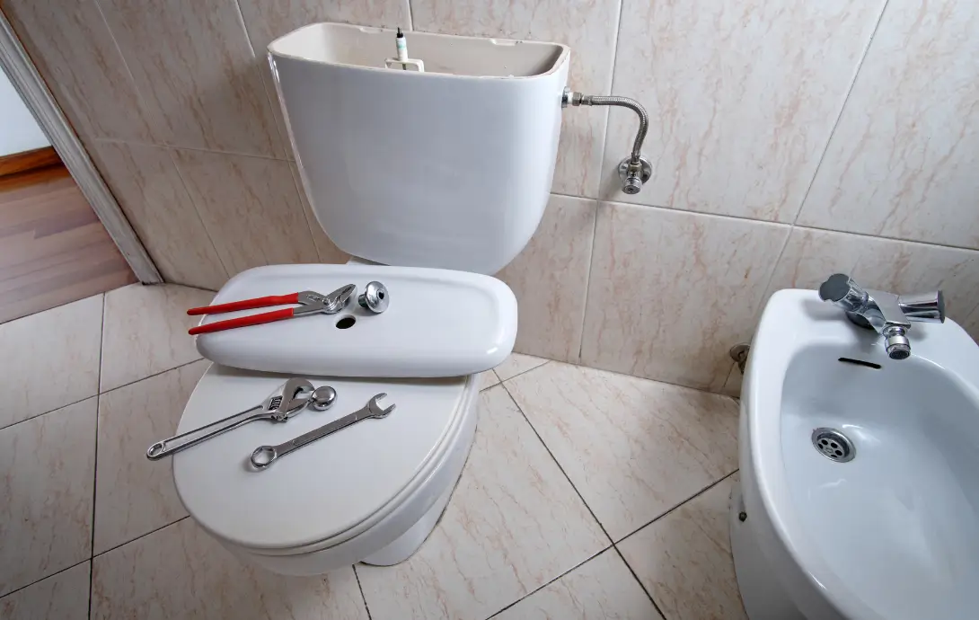 Toilet Repair Cherryland